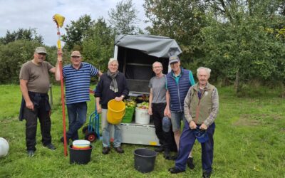 Gemeinsam für die Natur: Jung und Alt pflücken Äpfel in Rantrum
